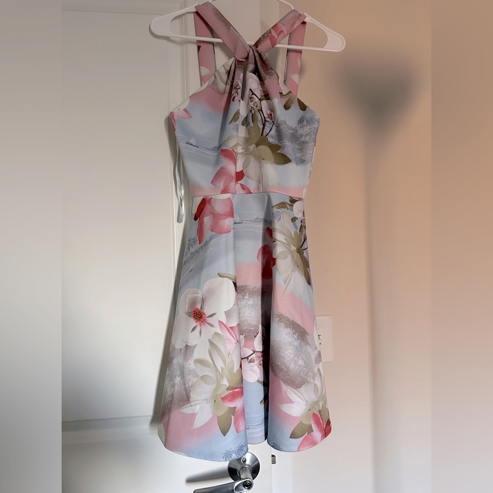 Lightly used ted baker london dress (ted size 0)
